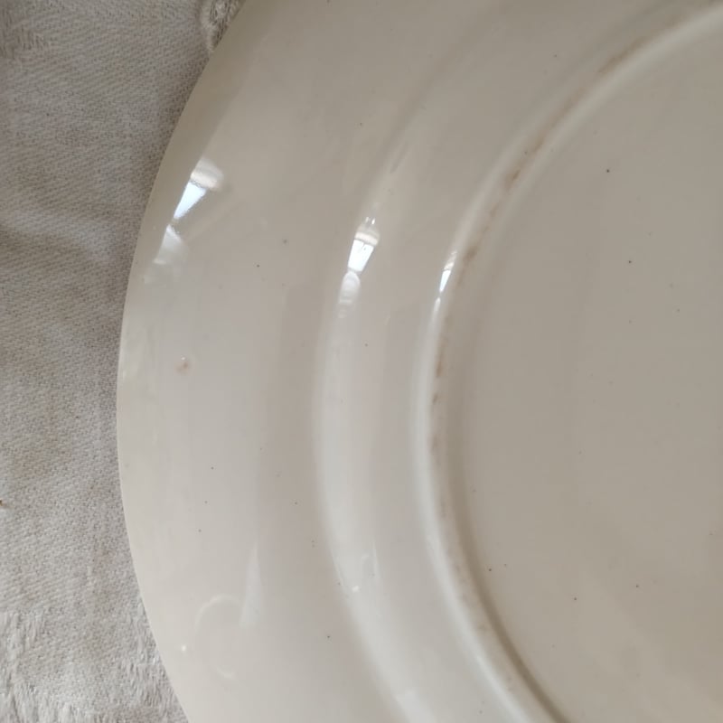 フランスアンティーク エミールブルジョワの大皿 | フランス