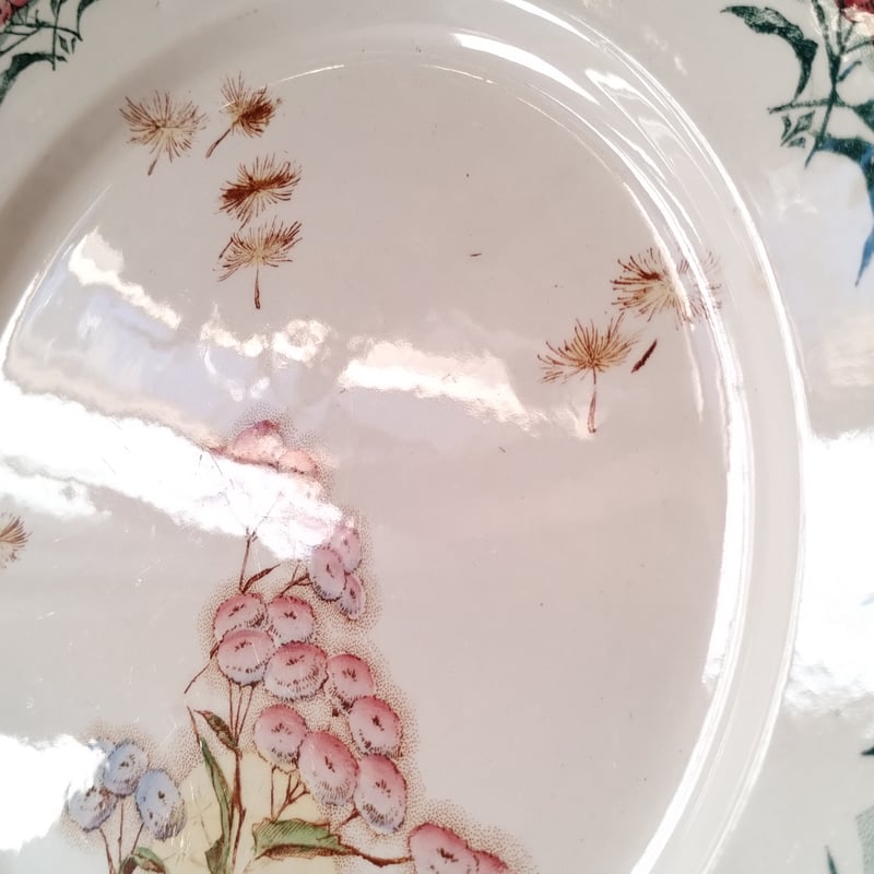 フランスアンティーク クレイユモントロー わた毛のプレート b