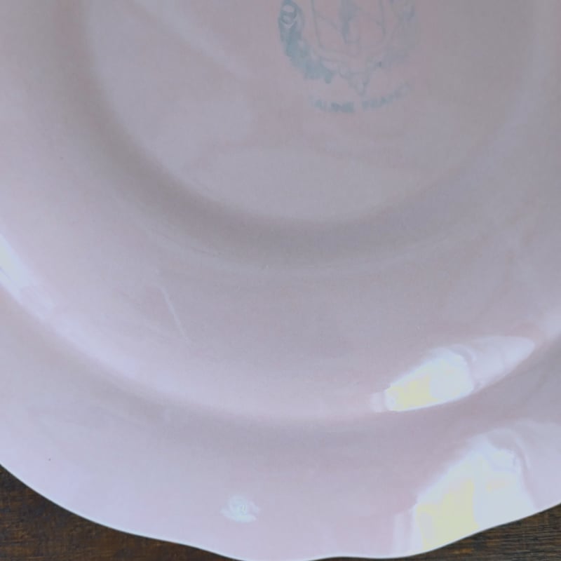 フランスアンティークプレート ピンクの花リムa | フランス