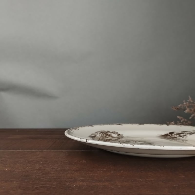 フランスアンティーク ショワジールロワのセピアなプレートc