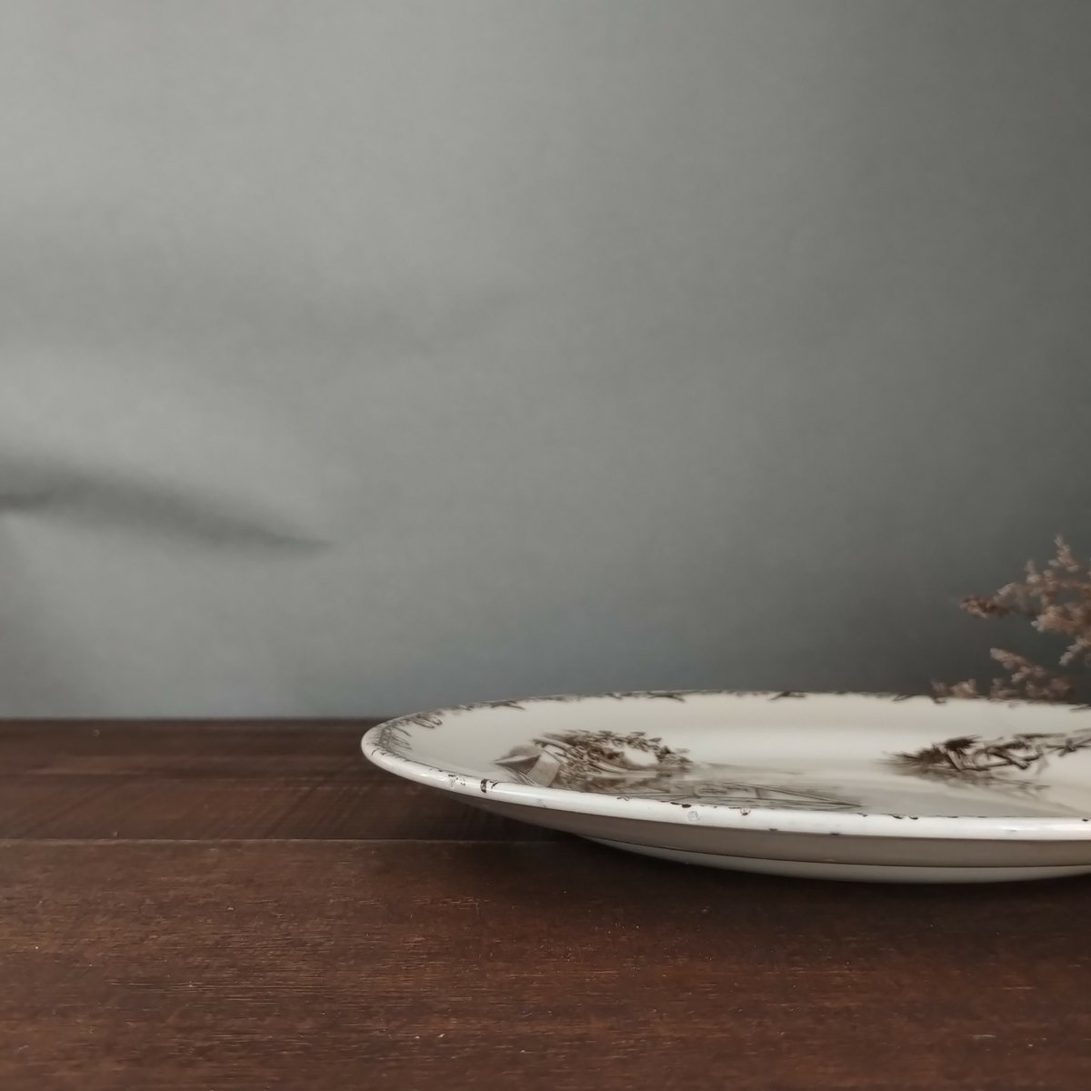 フランスアンティーク ショワジールロワのセピアなプレートc