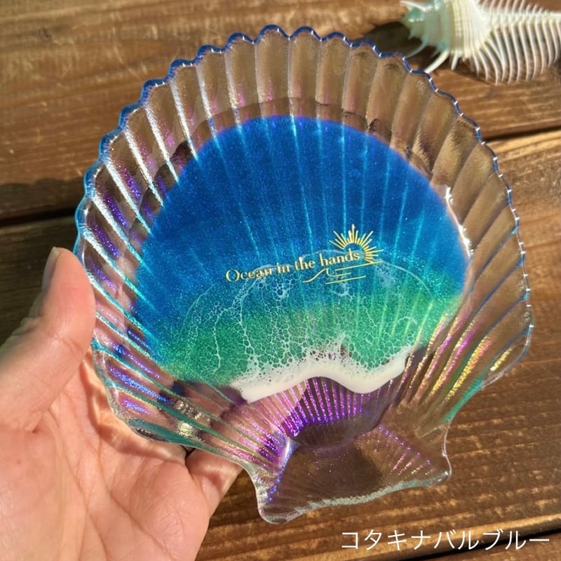 海の小物入れ オーロラシェル | Ocean in the hands®︎