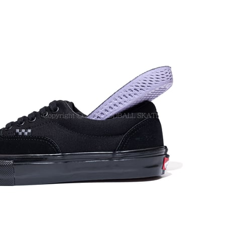 Vans Skate Era Black/Black VN0A5FC9BKA