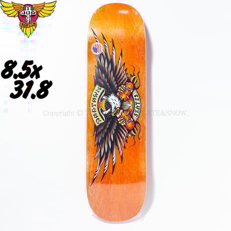 キズ　DOG TOWN キズ DOG TOWN DOGTOWN スケボー スケート デッキ スケート