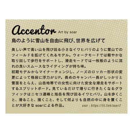 早期予約 26-27 SECCA SNOWBOARD ACCENTOR