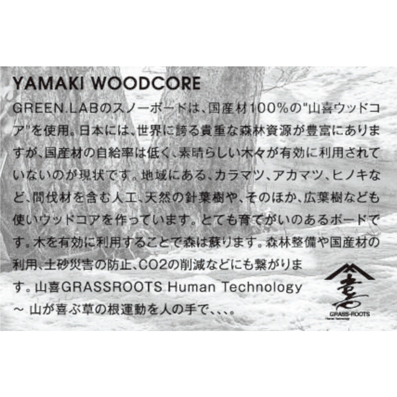 24-25 GREEN LAB GRASSROOTS 156 | ODDBALL SKATE&