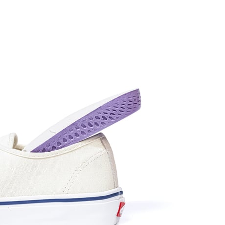 Vans Skate Authentic Off White VN0A5FC8OFW