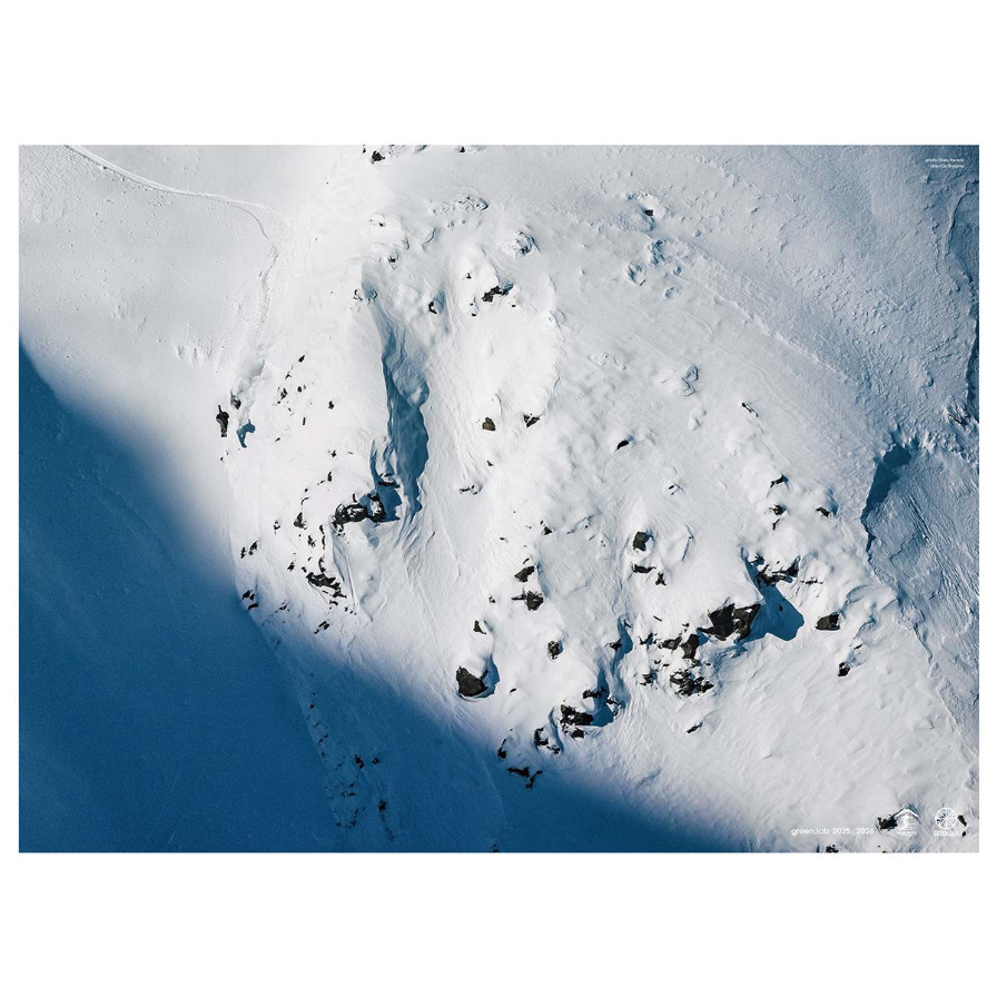 専用　同梱　30グリーンスノー　ホワイトモンスター22＋スケルトン茎発根済み 専用 同梱 30グリーンスノー ホワイトモンスター22＋スケルトン茎発根