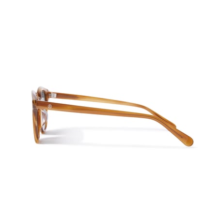 EVISEN SKATEBOARDS EVI SUNGLASSES