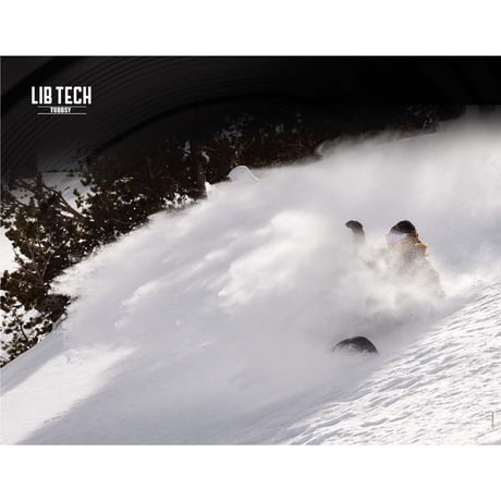 25-26 正規品 LIBTECH SKUNK APE