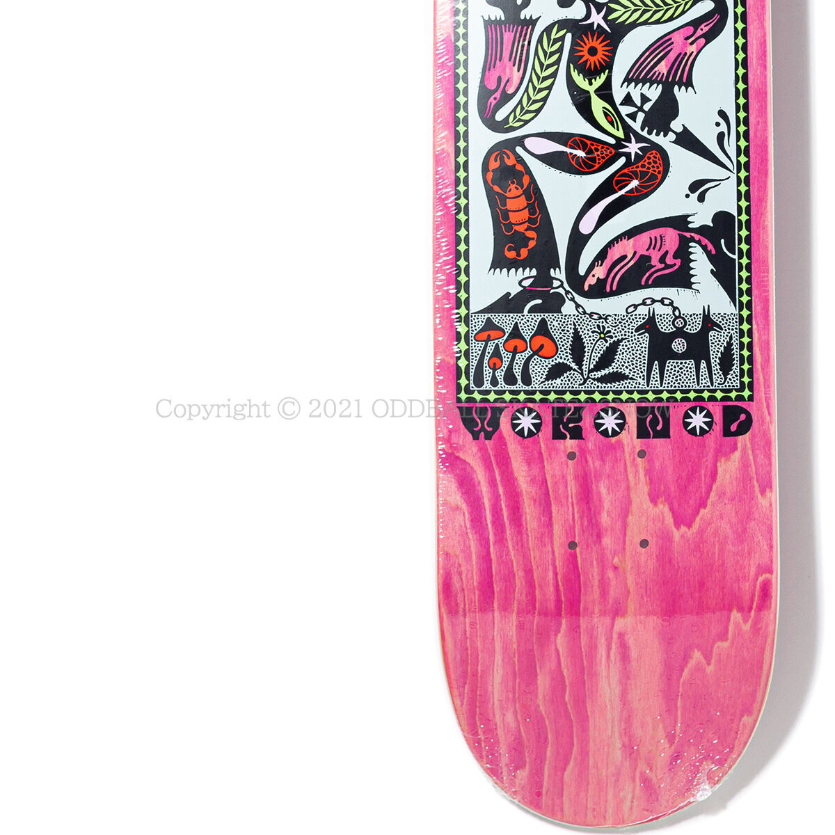 フラミンゴデザイン スケートボード コンプリート フラミンゴデザイン スケートボード コンプリート Flamingo