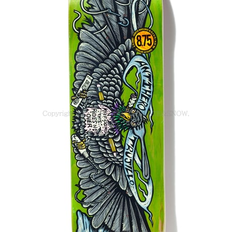 ANTI HERO SKATEBOARDS TRUJILLO PIGEON VISION BY DENNIS MCNETT 8.75