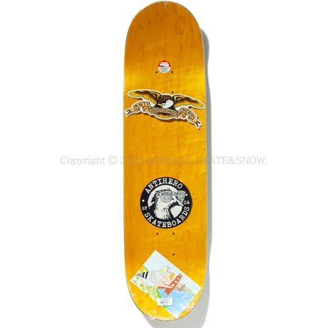 ANTI HERO SKATEBOARDS TEAM PIGEON VISION BY SANTIAGO MENENDEZ 8.5