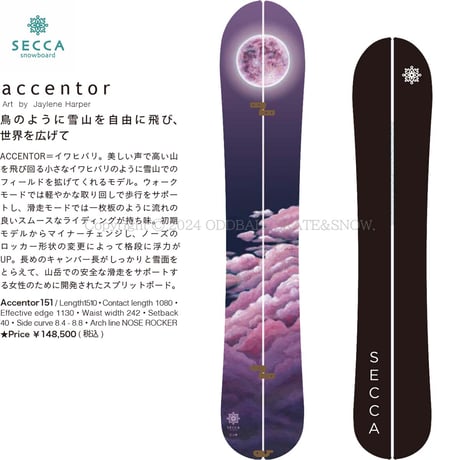 24-25 早期予約 SECCA SNOWBOARD ACCENTOR