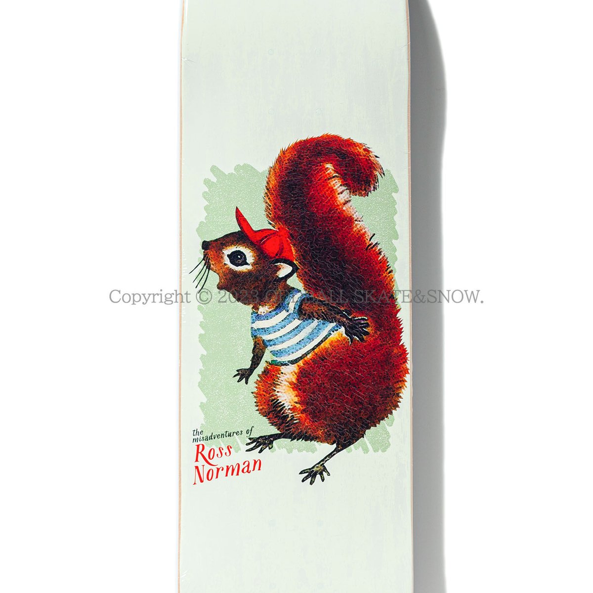 新品 POLITIC 8.0 NORMAN MISADVENTURE DECK POLITIC 8.0インチ Norman Misadventure | ODDBALL SK