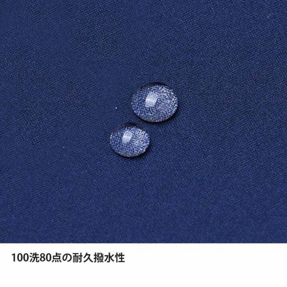 650a784accd49a0031960663
