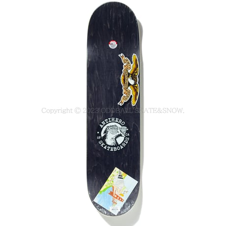 ANTI HERO SKATEBOARDS PFANNER PIGEON VISION BY JOHN HERNDON 8.12