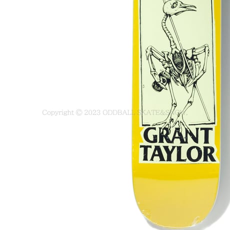 ANTI HERO SKATEBOARDS GRANT PIGEON VISION BY LANCE MOUNTAIN 8.25