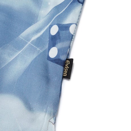 EVISEN SKATEBOARDS RAINBOW SHIRT