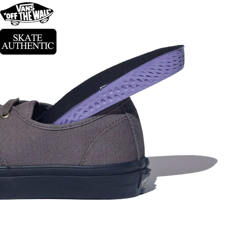 VANS SKATE AUTHENTIC BUNGEE CORD VN0A2Z2Z9JC |