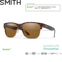 SMITH Lowdown Split Matte Tort