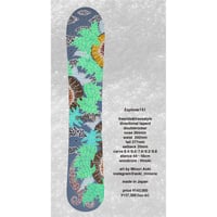 早期予約 24-25 GREEN LAB FREEBIRD 160 | ODDBALL SKA