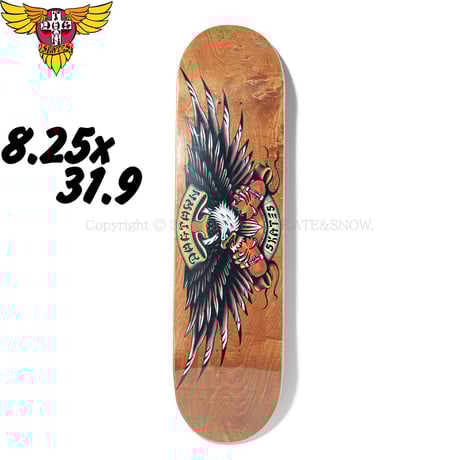 キズ　DOG TOWN キズ DOG TOWN pig_large.jpg?v=1629487963