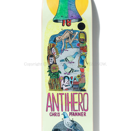 ANTI HERO SKATEBOARDS PFANNER PIGEON VISION BY JOHN HERNDON 8.12