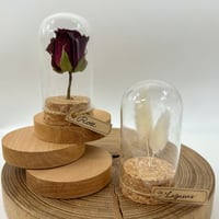 【毎月届く✨】ドライフラワーボトル標本　2本セット🌿