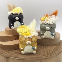 【毎月届く✨】ドライフラワーアニマルポッド🐾
