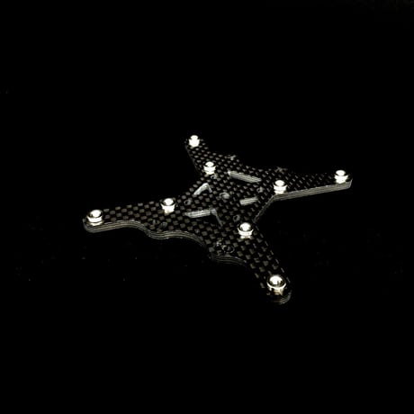 オバティフォリア　キラー発根済み fit=scale-down,w=1200