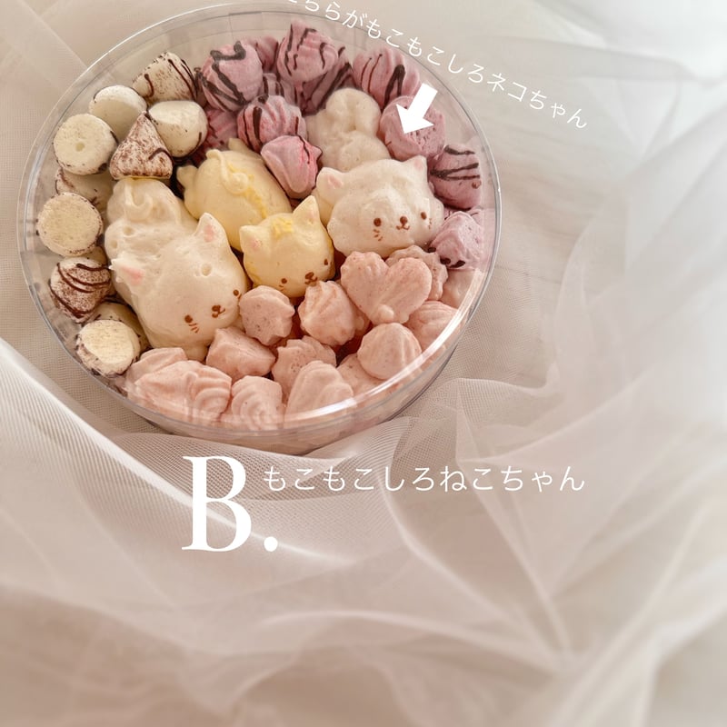 ねこショコラメレンゲBox | パイピングアトリエMammy