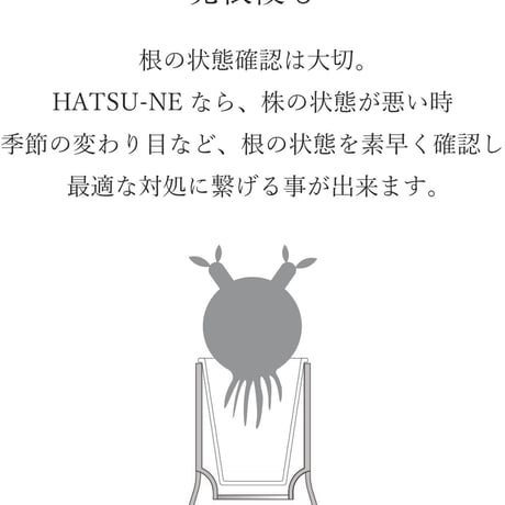 HATSU-NE