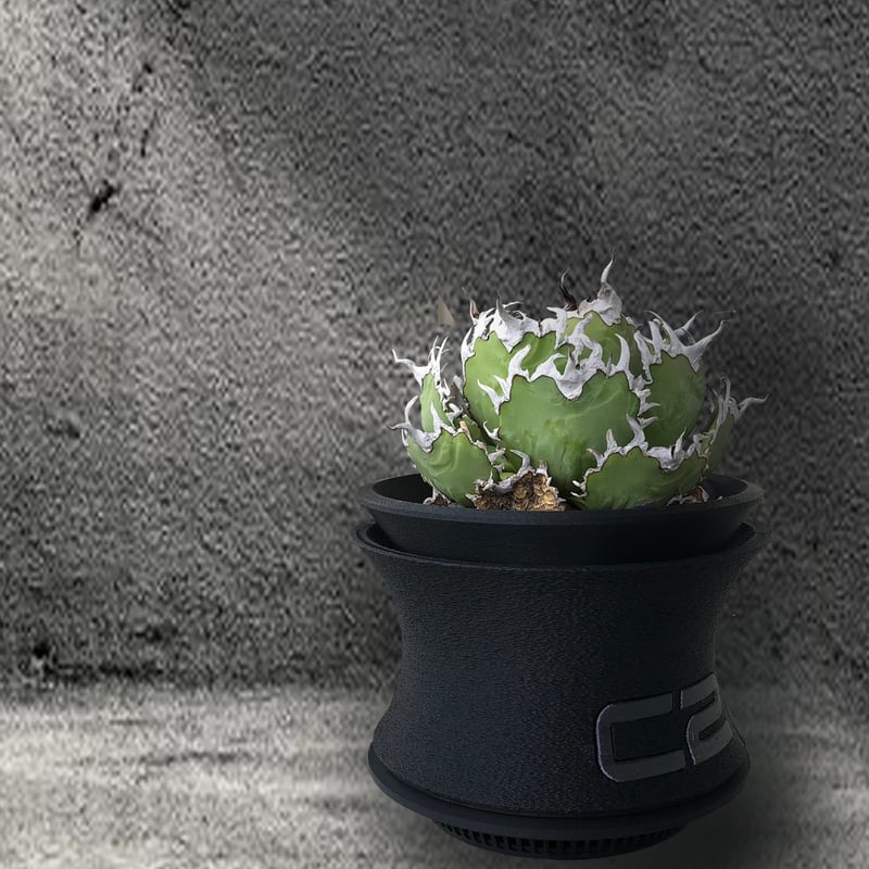 3Dプリンター鉢　C2 ヨイデザイン　アガベ　２個セット　鉢　観葉植物 3Dプリンター鉢 C2 ヨイデザイン アガベ 2個セット 鉢 観葉植物