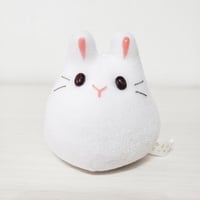 うちの子もっちー M-83