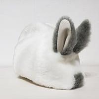 ふわふわのポーチさん ヒマラヤンうすブルー