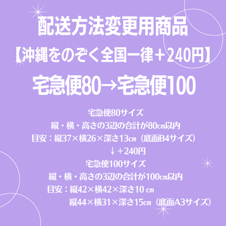 宅急便80→宅急便100変更商品【沖縄をのぞき一律＋240円】