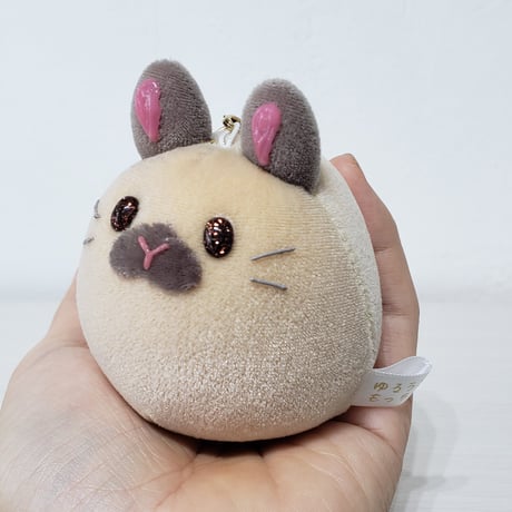 うちの子もっちー M-79