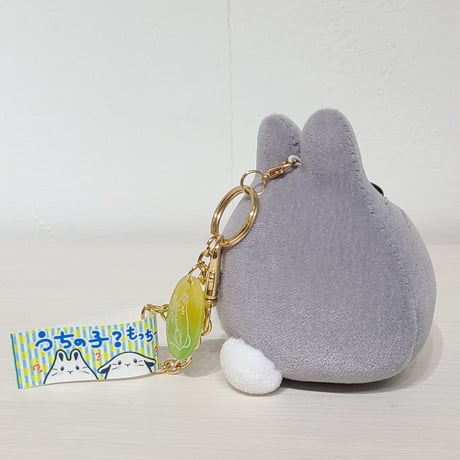 うちの子もっちー M-
