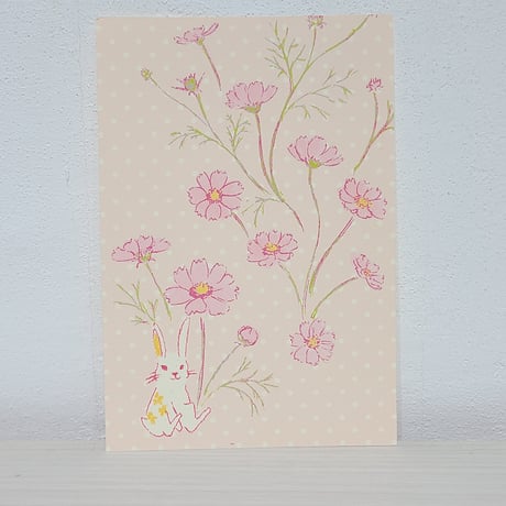 ポストカード2枚セット「秋桜」