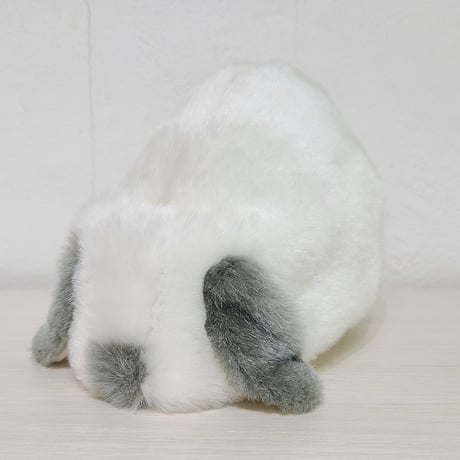 ふわふわのポーチさん(ロップ) ヒマラヤン薄ブルー