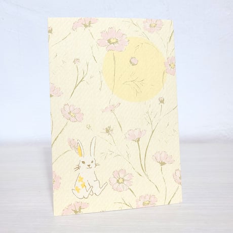ポストカード2枚セット「秋桜」タンザナイトカラー