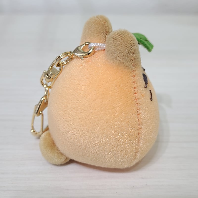 うさぎしまコラボもっちー【ゆず(yuzu)】 | rabbica ONLINE STORE