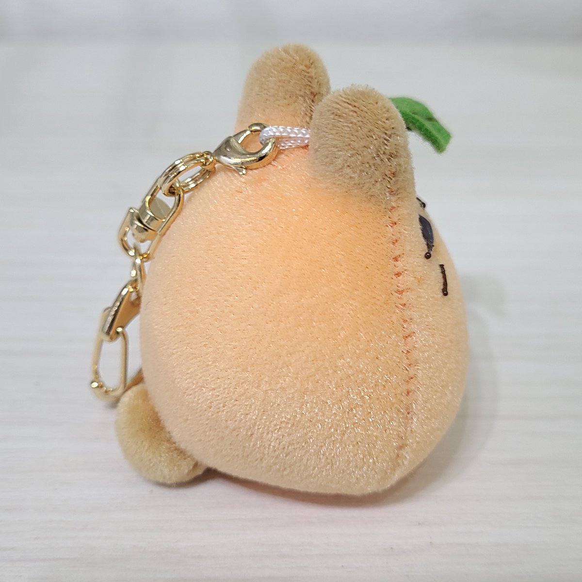 うさぎしまコラボもっちー【ゆず(yuzu)】 | rabbica ONLINE STORE