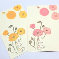 ポピーとうさぎ ポストカード2枚セット