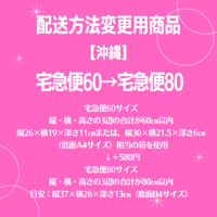 宅急便60→宅急便80変更商品【沖縄】