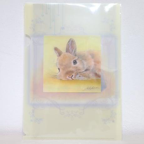 しらとあきこ | STORES