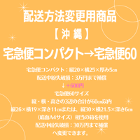 宅急便コンパクト→宅急便60変更商品【沖縄】