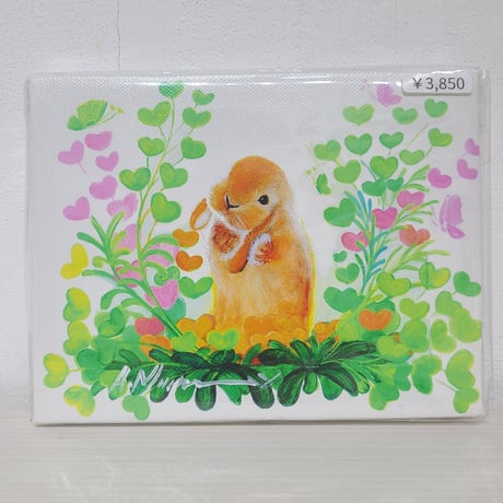 CATEGORY 0号サイズ | rabbica ONLINE STORE CATEGORY 0号サイズ | rabbica ONLINE STORE