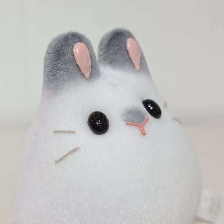 うちの子もっちー M-137